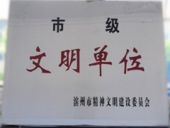 喜訊！公司榮獲“市級(jí)文明單位”稱號(hào)
